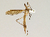  ( - CMNH475091)  @13 [ ] CreativeCommons - Attribution Non-Commercial Share-Alike (2010) Unspecified Carnegie Museum of Natural History