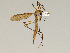  ( - CMNH475116)  @13 [ ] CreativeCommons - Attribution Non-Commercial Share-Alike (2010) Unspecified Carnegie Museum of Natural History