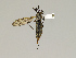  ( - CMNH543282)  @13 [ ] CreativeCommons - Attribution Non-Commercial Share-Alike (2010) Unspecified Carnegie Museum of Natural History