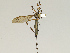  ( - CMNH543293)  @12 [ ] CreativeCommons - Attribution Non-Commercial Share-Alike (2010) Unspecified Carnegie Museum of Natural History