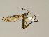 ( - CMNH427608)  @13 [ ] CreativeCommons - Attribution Non-Commercial Share-Alike (2010) Unspecified Carnegie Museum of Natural History