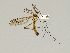  ( - CMNH475250)  @13 [ ] CreativeCommons - Attribution Non-Commercial Share-Alike (2010) Unspecified Carnegie Museum of Natural History