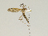  ( - CMNH475315)  @13 [ ] CreativeCommons - Attribution Non-Commercial Share-Alike (2010) Unspecified Carnegie Museum of Natural History