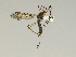  ( - CMNH543187)  @13 [ ] CreativeCommons - Attribution Non-Commercial Share-Alike (2010) Unspecified Carnegie Museum of Natural History