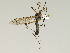 ( - CMNH543189)  @13 [ ] CreativeCommons - Attribution Non-Commercial Share-Alike (2010) Unspecified Carnegie Museum of Natural History