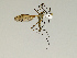  ( - CMNH543197)  @13 [ ] CreativeCommons - Attribution Non-Commercial Share-Alike (2010) Unspecified Carnegie Museum of Natural History