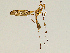  ( - CMNH544295)  @13 [ ] CreativeCommons - Attribution Non-Commercial No Derivatives (2010) Chen Young Carnegie Museum
