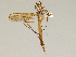  ( - CMNH352961)  @13 [ ] CreativeCommons - Attribution Non-Commercial Share-Alike (2010) Unspecified Carnegie Museum of Natural History