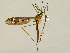  ( - CMNH543522)  @13 [ ] CreativeCommons - Attribution Non-Commercial Share-Alike (2010) Unspecified Carnegie Museum of Natural History