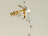  ( - CMNH543561)  @13 [ ] CreativeCommons - Attribution Non-Commercial Share-Alike (2010) Unspecified Carnegie Museum of Natural History