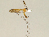  ( - CMNH543614)  @13 [ ] CreativeCommons - Attribution Non-Commercial Share-Alike (2010) Unspecified Carnegie Museum of Natural History