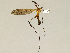  ( - CMNH543616)  @13 [ ] CreativeCommons - Attribution Non-Commercial Share-Alike (2010) Unspecified Carnegie Museum of Natural History