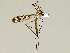  ( - CMNH544299)  @13 [ ] CreativeCommons - Attribution Non-Commercial No Derivatives (2010) Chen Young Carnegie Museum