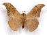  ( - BC-JJ2826-D12)  @11 [ ] Copyright (2010) Unspecified Research Collection of Jo Joannou
