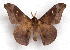 ( - BC-JJ2826-E02)  @11 [ ] Copyright (2010) Unspecified Research Collection of Jo Joannou