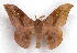 ( - BC-JJ2826-E03)  @11 [ ] Copyright (2010) Unspecified Research Collection of Jo Joannou