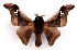  ( - BC-JJ2826-E05)  @11 [ ] Copyright (2010) Unspecified Research Collection of Jo Joannou