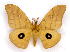  ( - BC-JJ2826-G01)  @13 [ ] Copyright (2010) Unspecified Research Collection of Jo Joannou