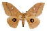  ( - BC-JJ2826-G02)  @13 [ ] Copyright (2010) Unspecified Research Collection of Jo Joannou