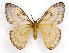  ( - BC-JJ2826-G08)  @14 [ ] Copyright (2010) Unspecified Research Collection of Jo Joannou