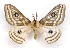  ( - BC-JJ2826-H11)  @11 [ ] Copyright (2010) Unspecified Research Collection of Jo Joannou