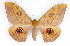  ( - BC-JJ2827-A07)  @11 [ ] Copyright (2010) Unspecified Research Collection of Jo Joannou
