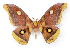  ( - BC-JJ2827-A09)  @14 [ ] Copyright (2010) Unspecified Research Collection of Jo Joannou