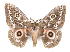  ( - BC-JJ2827-B06)  @11 [ ] Copyright (2010) Unspecified Research Collection of Jo Joannou