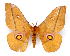  ( - BC-JJ2827-D02)  @14 [ ] Copyright (2010) Unspecified Research Collection of Jo Joannou