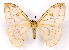  ( - BC-JJ2827-E03)  @14 [ ] Copyright (2010) Unspecified Research Collection of Jo Joannou