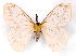  ( - BC-JJ2827-E06)  @11 [ ] Copyright (2010) Unspecified Research Collection of Jo Joannou