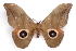  ( - BC-JJ2827-F02)  @14 [ ] Copyright (2010) Unspecified Research Collection of Jo Joannou