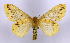 ( - BC-JJ2828_E11)  @14 [ ] Copyright (2010) Unspecified Research Collection of Jo Joannou