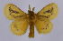  ( - BC-JJ2828_H01)  @11 [ ] Copyright (2010) Unspecified Research Collection of Jo Joannou