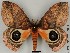  ( - DRSALG_011)  @14 [ ] Copyright (2017) Dominik Rabl University of Vienna