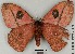  ( - DRSALG_010)  @14 [ ] Copyright (2017) Dominik Rabl University of Vienna, Division of Tropical Ecology and Animal Biodiversity
