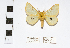  ( - CIPLT-E4826)  @11 [ ] Copyright (2019) Unspecified ColecciÃ³n CientÃ­fica de Para La Tierra