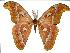  ( - BC-Vinc0011)  @14 [ ] Copyright (2010) Unspecified Research Collection of Roberto Vinciguerra