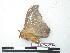  ( - BC-Roug0219)  @12 [ ] Copyright (2010) Unspecified Research Collection of Rodolphe Rougerie