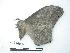  ( - BC-Roug0255)  @13 [ ] Copyright (2010) Unspecified Research Collection of Rodolphe Rougerie