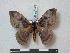  ( - BC-Roug0593)  @14 [ ] Copyright (2010) Unspecified Research Collection of Rodolphe Rougerie