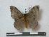  ( - BC-Roug0621)  @13 [ ] Copyright (2010) Unspecified Research Collection of Rodolphe Rougerie