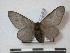  ( - BC-Roug0623)  @13 [ ] Copyright (2010) Unspecified Research Collection of Rodolphe Rougerie