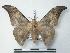  ( - BC-Roug0914)  @14 [ ] Copyright (2010) Unspecified Research Collection of Rodolphe Rougerie