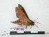  ( - BC-Roug1130)  @13 [ ] Copyright (2010) Unspecified Research Collection of Jean Haxaire