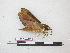  ( - BC-Roug1131)  @13 [ ] Copyright (2010) Unspecified Research Collection of Jean Haxaire