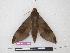  ( - BC-Roug1132)  @13 [ ] Copyright (2010) Unspecified Research Collection of Jean Haxaire