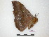  ( - BC-Roug1157)  @12 [ ] Copyright (2010) Unspecified Research Collection of Rodolphe Rougerie