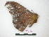  ( - BC-Roug1158)  @12 [ ] Copyright (2010) Unspecified Research Collection of Rodolphe Rougerie