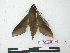  ( - BC-Roug1174)  @12 [ ] Copyright (2010) Unspecified Research Collection of Jean Haxaire